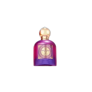 EMIR JUICY MELANGE Paris Corner Perfume Mujer 100ml — imagen 3